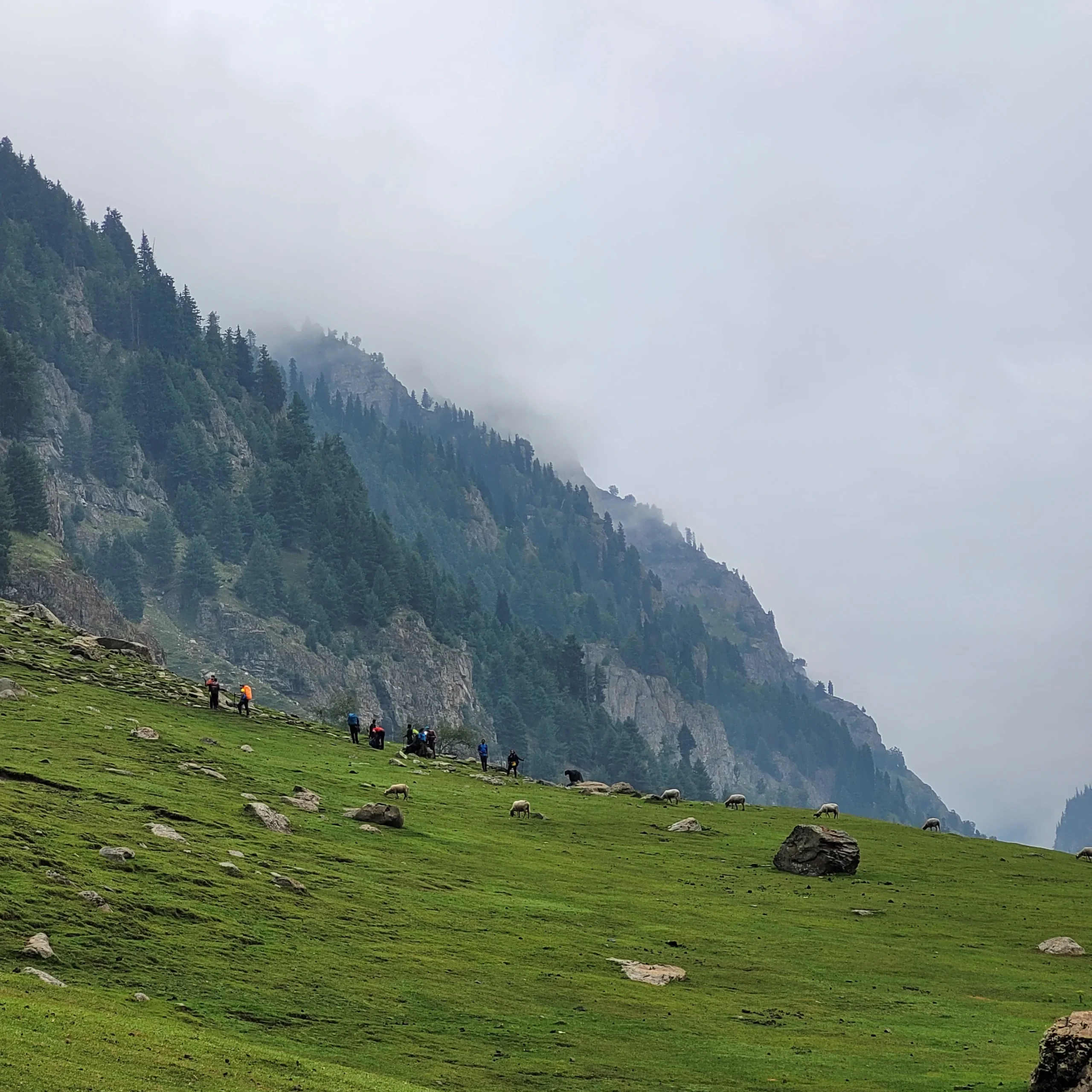 Day 6 – Srinagar-Sonmarg-Srinagar (180kms)